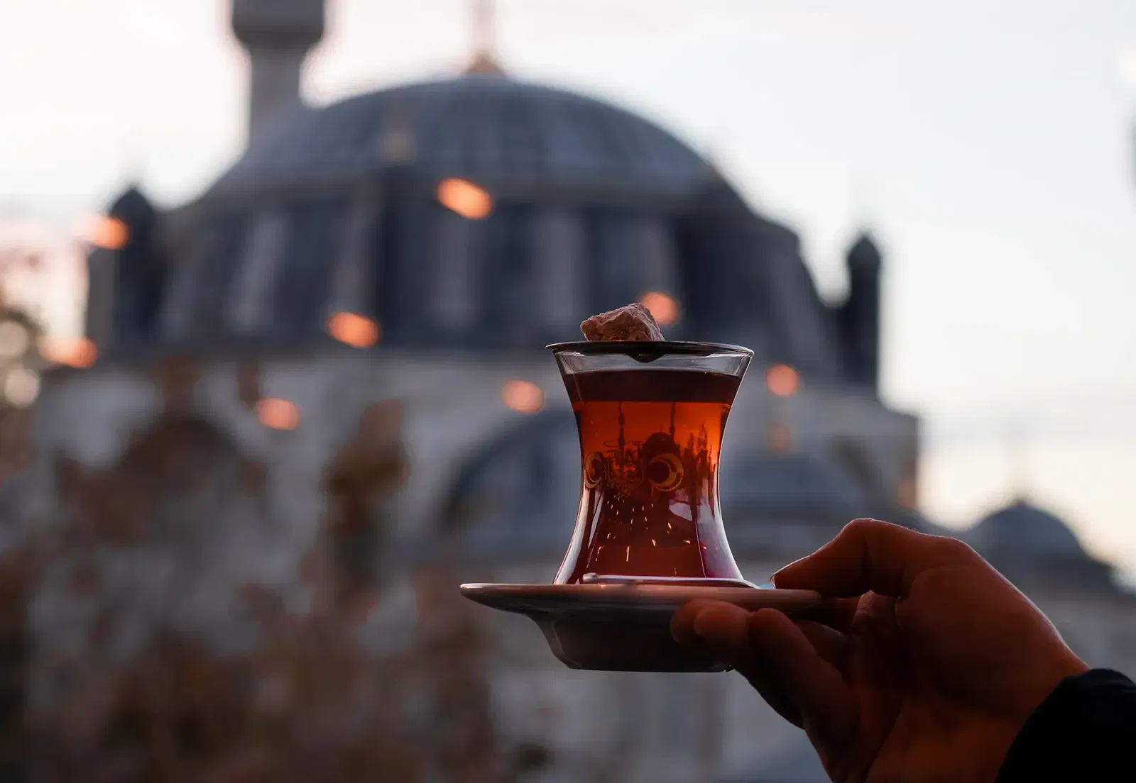 Türkisch Übersetzungen