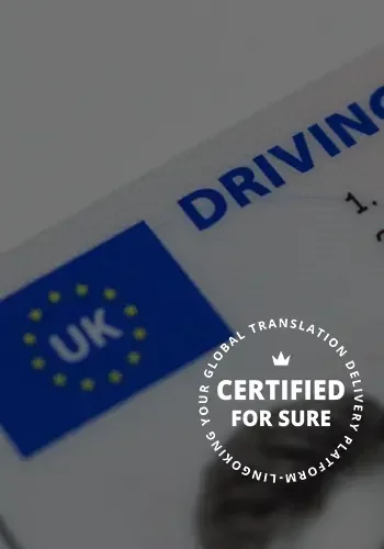 Have your driver's license translated