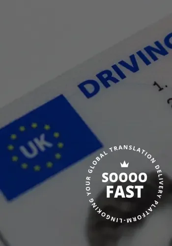 Officially recognised and certified driver's license translation