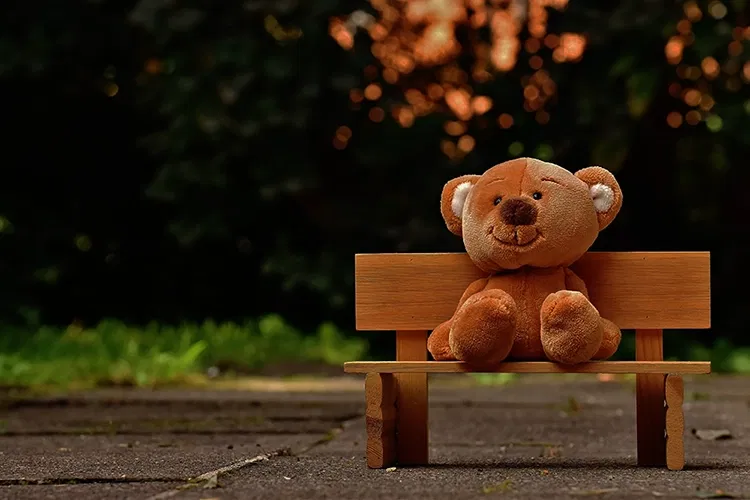 Teddy bear sitting on a bank