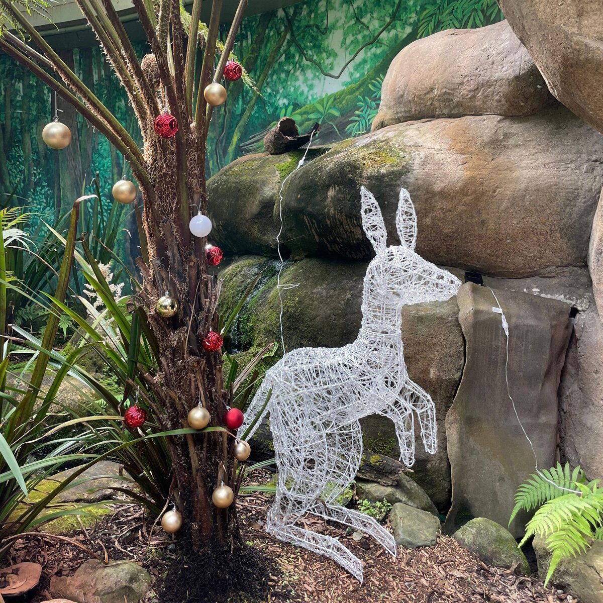 Zoo Sydney at christmas time