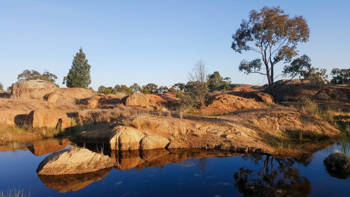 Terrick National Park in Australia