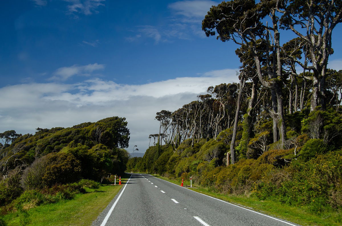 West Coast, South Island, New Zealand