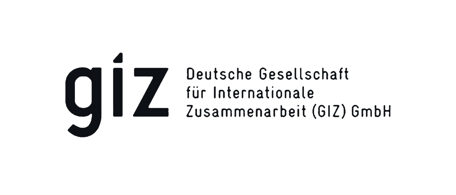 Logo giz