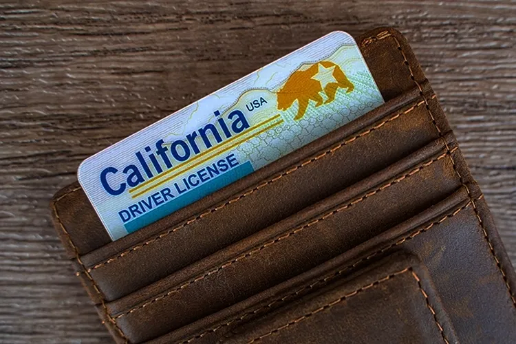 Driver's licence of California in a pocket